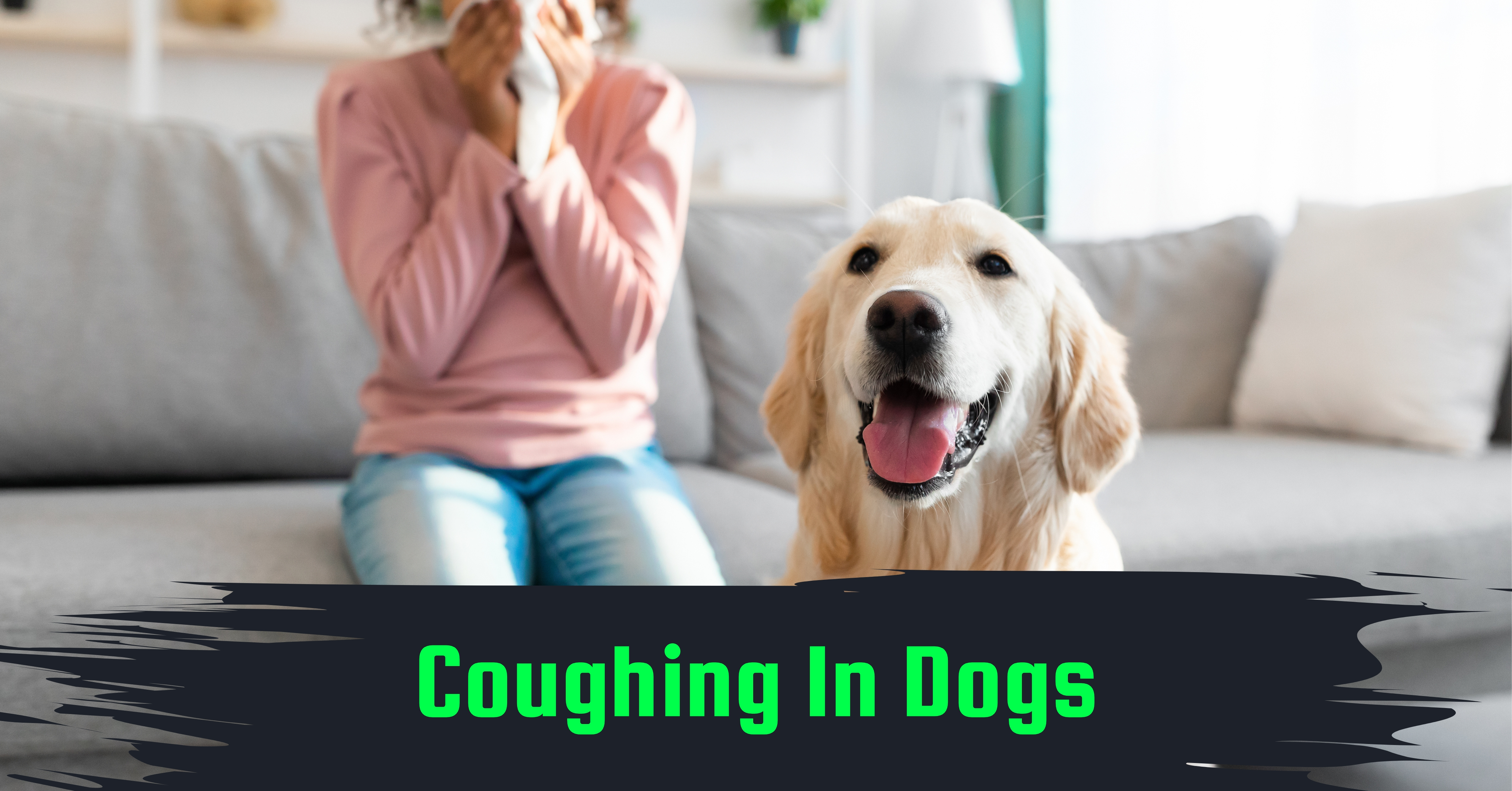 Cough In Dogs