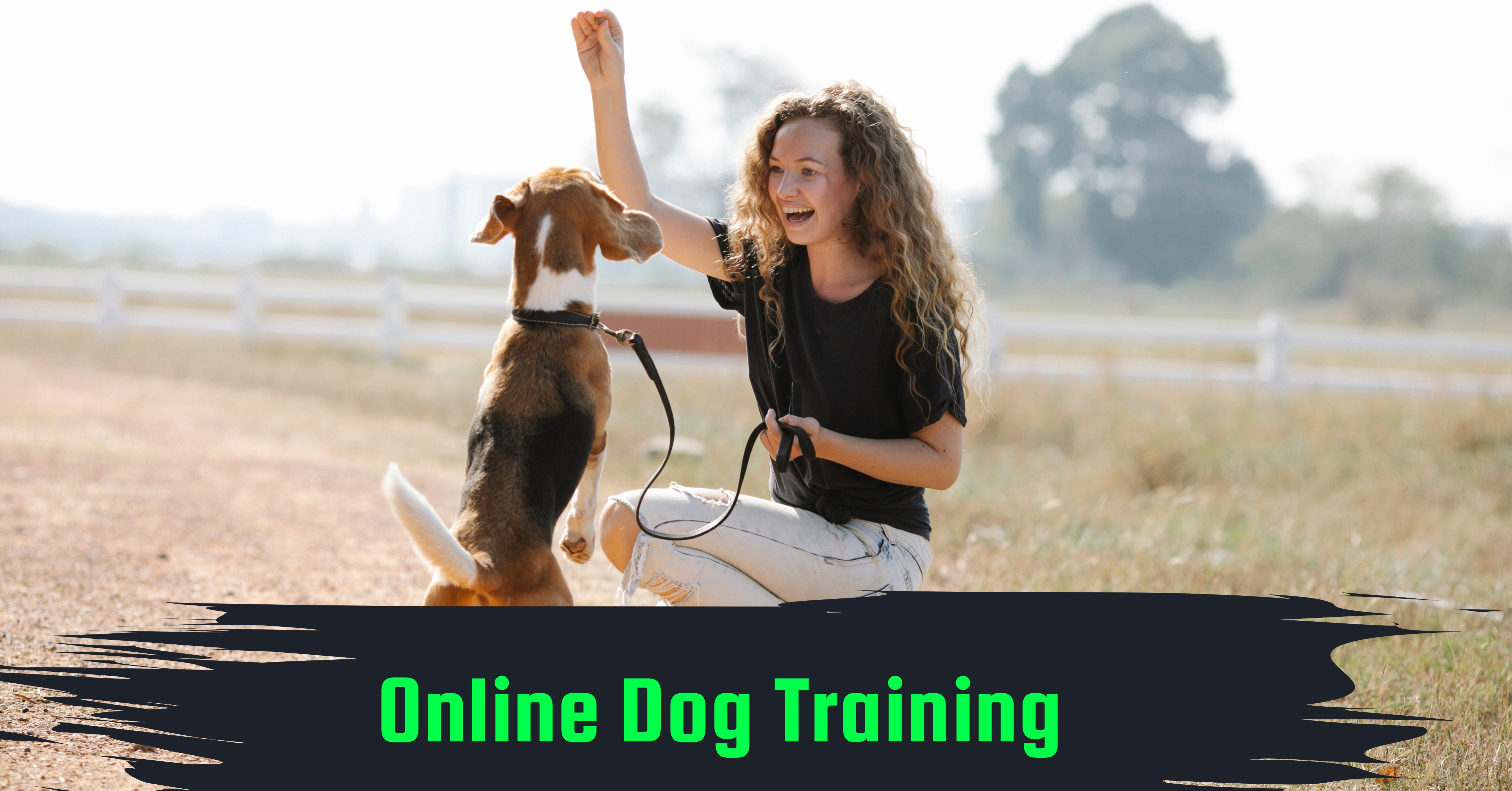 Online Dog Training